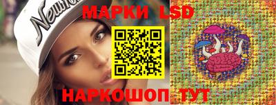 гидропоника Бийск