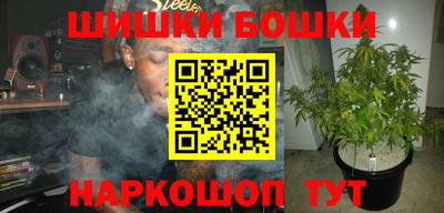 гидропоника Бийск