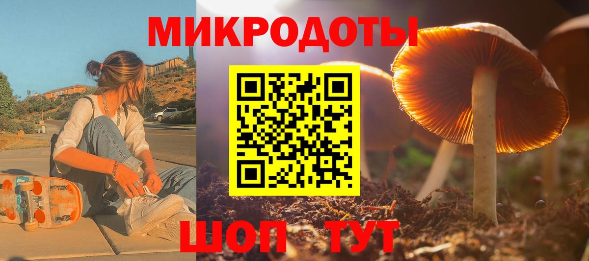 наркота  Галлюциногенные грибы MAGIC MUSHROOMS  Вход с VPN  Кисловодск 