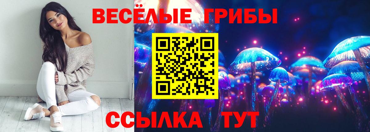 Псилоцибиновые грибы MAGIC MUSHROOMS Кисловодск